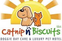 pet friendly boarding and grooming in savannah georgia, pet care savannah dogs allowed