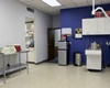 pet friendly vets in savannah, georgia, veterinarian in savannah