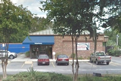 pet friendly vets in savannah, georgia, veterinarian in savannah